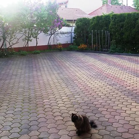 Siofok, Balaton 4 Apartment *